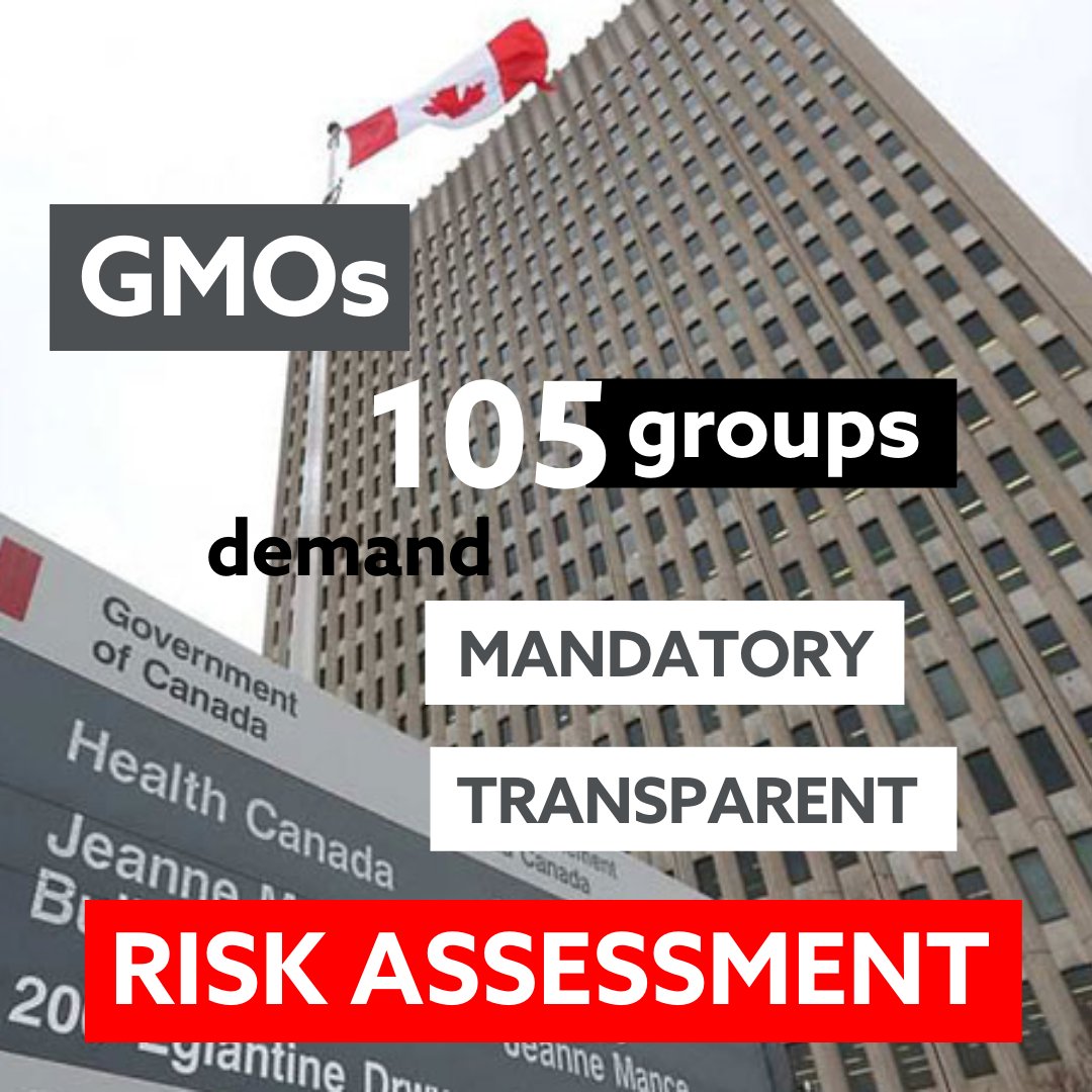 biotechaction's tweet image. 105 groups call on Health Minister @jyduclos & #Agriculture Minister @mclaudebibeau to ensure transparency and government oversight of all #GMOs. #NoExemptions. Safety review for all gene-edited #GMO foods & seeds. #NoRegulationNoTrust #cdnpoli #CdnAg cban.ca/NoExemptions/O…