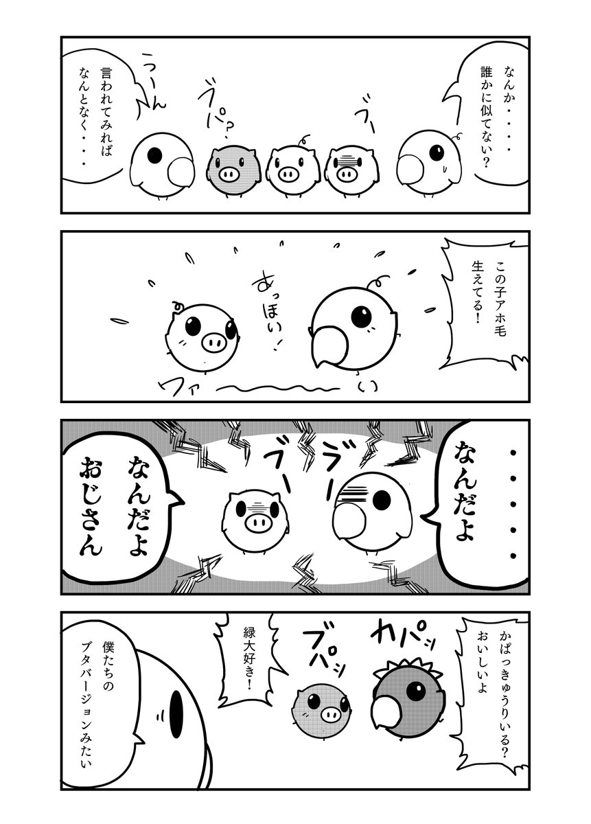 『とあるブタの日々』 43話  

#インコ #4コマ #漫画が読めるハッシュタグ 
#鳥 #日常 
