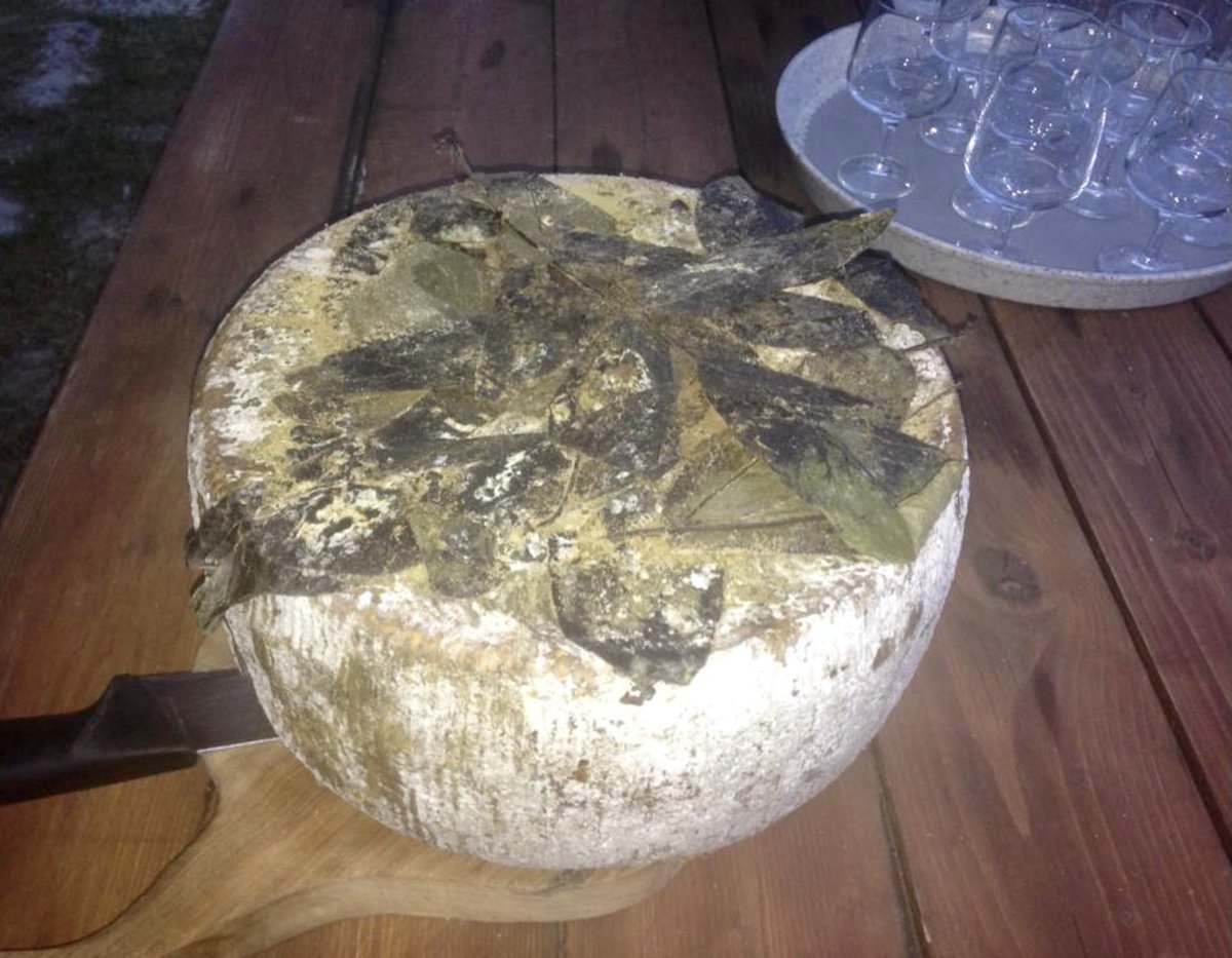 1000Rach's tweet photo. Thanks for bringing back #Tuscany #Holiday #Memories #September2014 #Cycling #Cheese @ItalyWith ❤️ https://t.co/RzjRug9hzO
