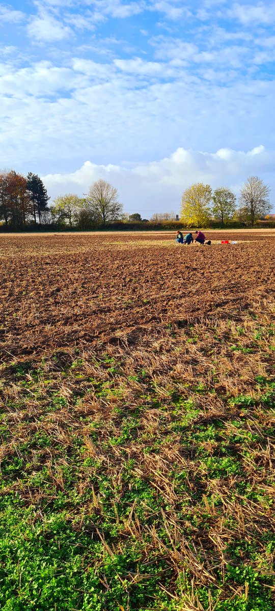 HannahVCooper's tweet photo. So so great to be back out sampling again! Helping @BethROSullivan sample soil from #zerotill and #ploughed soils. Beautiful day for it☀️ https://t.co/97nILVxIEE