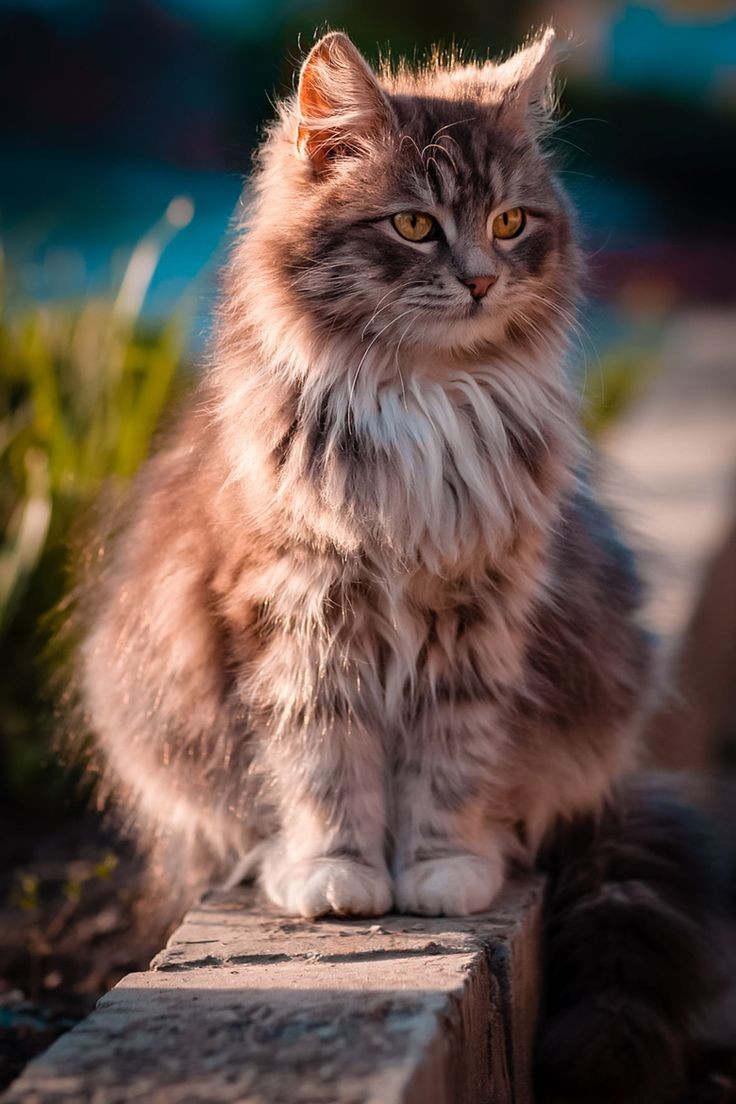 Good morning 
A nice lovely day ▪︎°•♡🌸🐾▪︎•°♡

#NaturePhotography 
#GoodMorningTwitterWorld