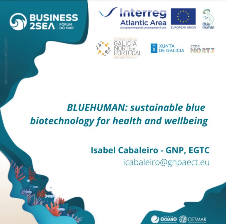 GNPAECT's tweet photo. Este xoves 18, no marco do @business2sea, presentaremos o proxecto #BLUEHUMAN, cofinanciado por @AtlanticArea, e no que a AECT da Eurorrexión coordina o WP de Capitalización. Mais info: https://t.co/tZlsQC9oxv e https://t.co/DZoYe3Odiv https://t.co/dNheOSRvDV