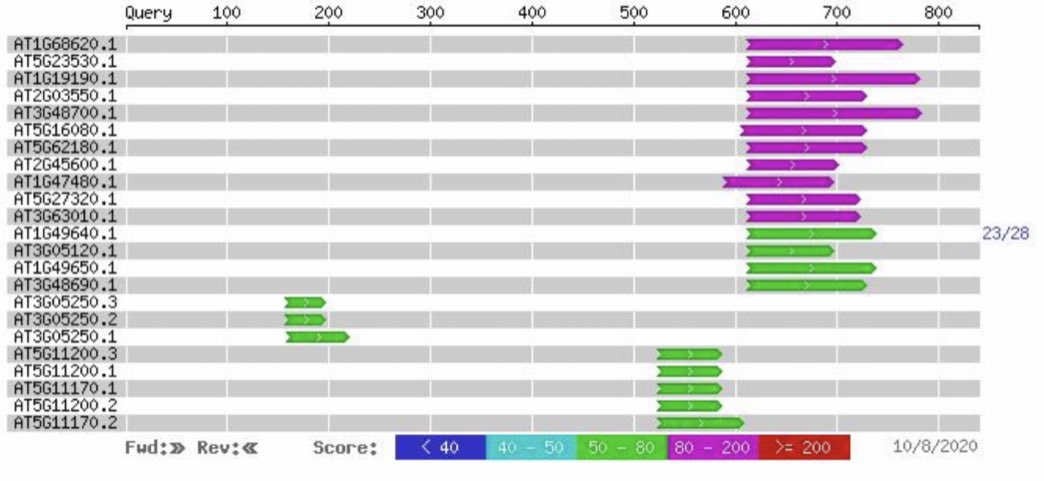 IMA_Mycology's tweet photo. A new paper in IMA #Fungus by Mohanta & Al-Harrasi analyses errors in 689 #fungalgenome and #proteome annotations, focusing on calcium dependent protein #kinase (CDPK), #selenoproteins, and #WRKY transcription factors. Read at https://t.co/qsPQU3TOoH https://t.co/FSpZAO8a6o
