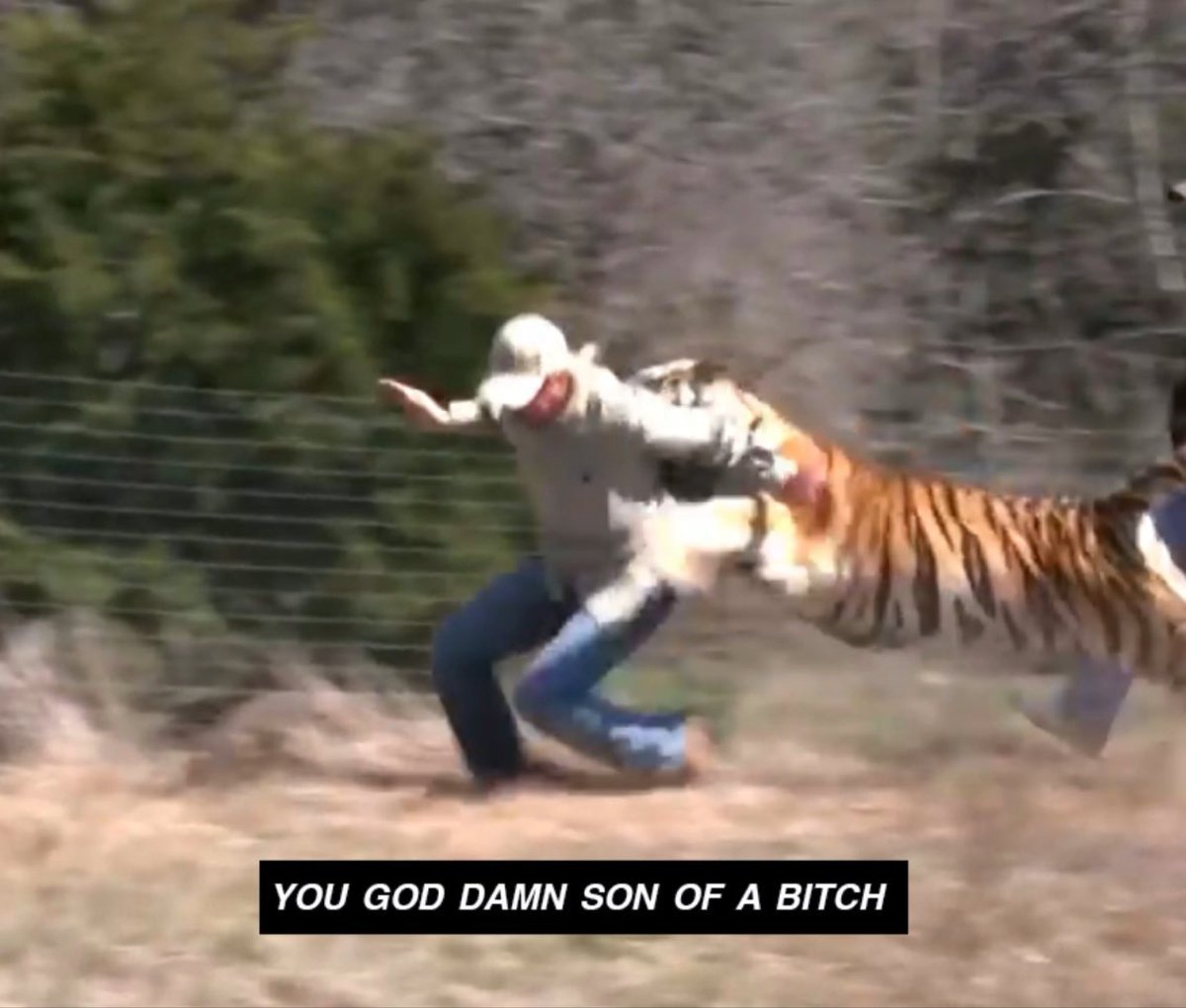 tatbenatar's tweet photo. me being sucked back into watching tiger king https://t.co/KgONczHgSG