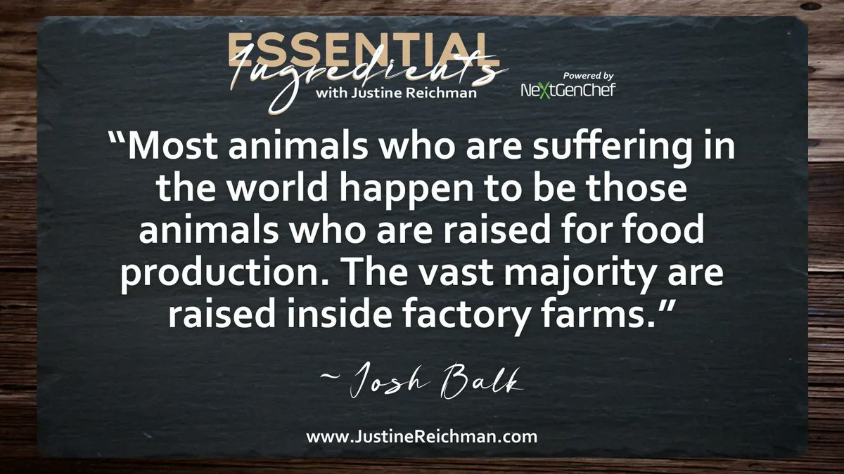 _NextGenChef's tweet image. “Most animals who are suffering in the world happen to be those animals who are raised for food production. The vast majority are raised inside factory farms.” - @joshbalk

How do you feel about this? Let us know in the comments! 

Listen at: justinereichman.com/podcast-episod…
#agribusiness