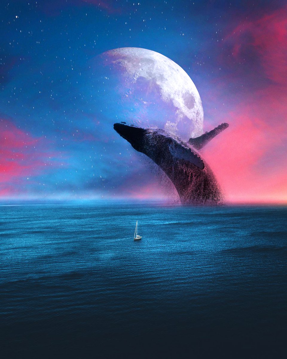 Bubblegum_group's tweet photo. The Last Voyage
.
.
.
Created with: @photoshop
Assets: @pexels / @unsplash
.
.
.
#adobe #photoshop #Ps_radiance #creativecloud_changes #photomanipulation #photoshopart #photoshopediting #photoshopexpress #photoshopped #digitalart #thisweekoninstagram #digitalartist https://t.co/eRG6WVKssX