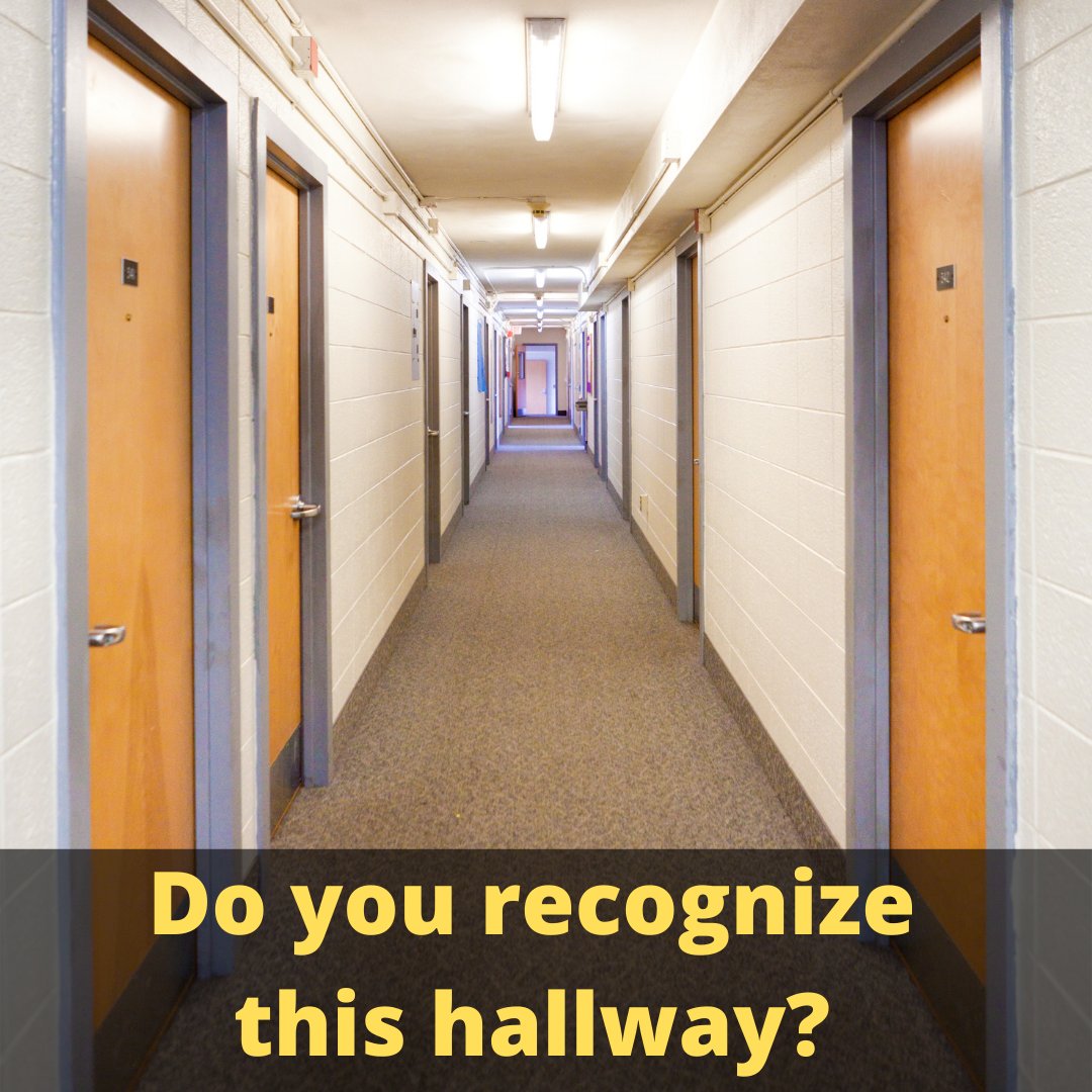 RegratifyingFD's tweet image. Going away to college is an exciting time for many young people and the experiences will be unforgettable. Sadly, many foster youth will never share in the college experience. Let's work together to change this!

#fostercare #fosteryouth #college