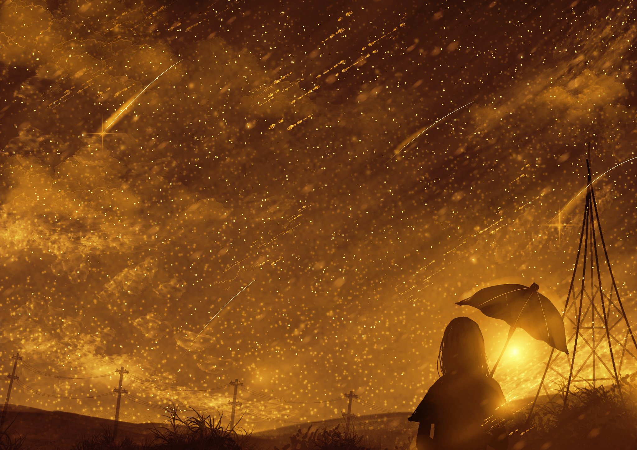 みほ 今夜はしし座流星群が見れるそうです イラスト 獅子座流星群 T Co Ugl7dwnvga Twitter