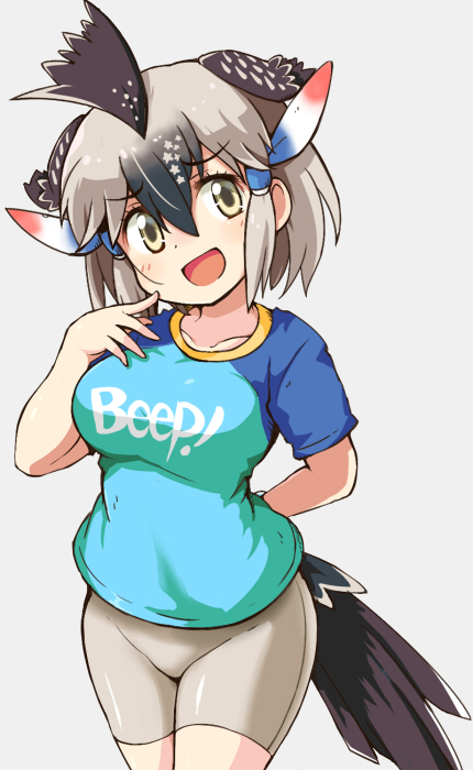 G ロードランナー のイラスト マンガ作品 1 件 Twoucan