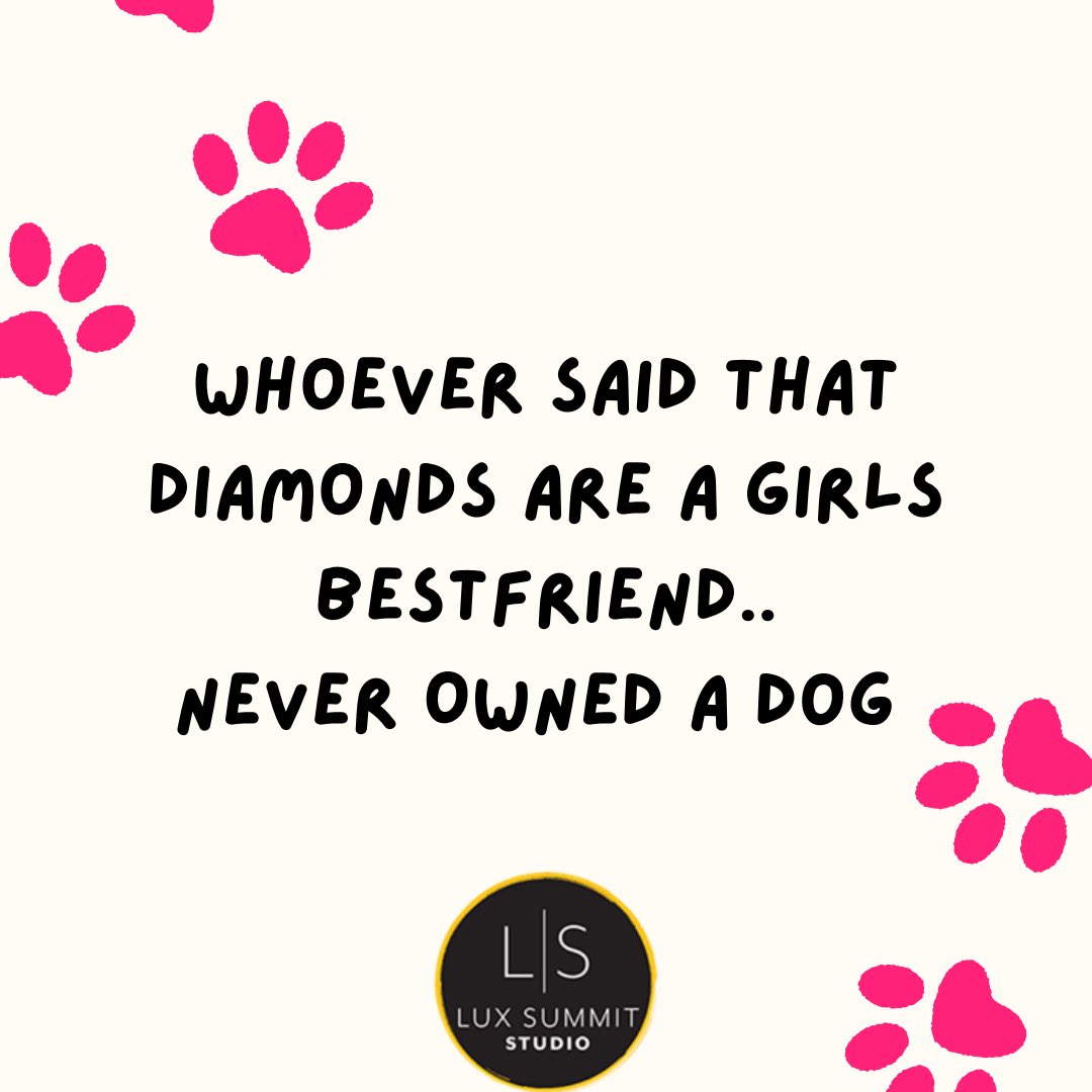 photo_kidd's tweet photo. Dogs 🐕 can be anyone's best friend! 

It's one of the many reasons why we love ❤ them and why the Woman's Best Friend Project supports the bonds between a woman and her dog. 🐶📷 
#puppylove #womansbestfriend #instadog #woof #pawsome #dogsarefamily https://t.co/TvX7q8F3TR