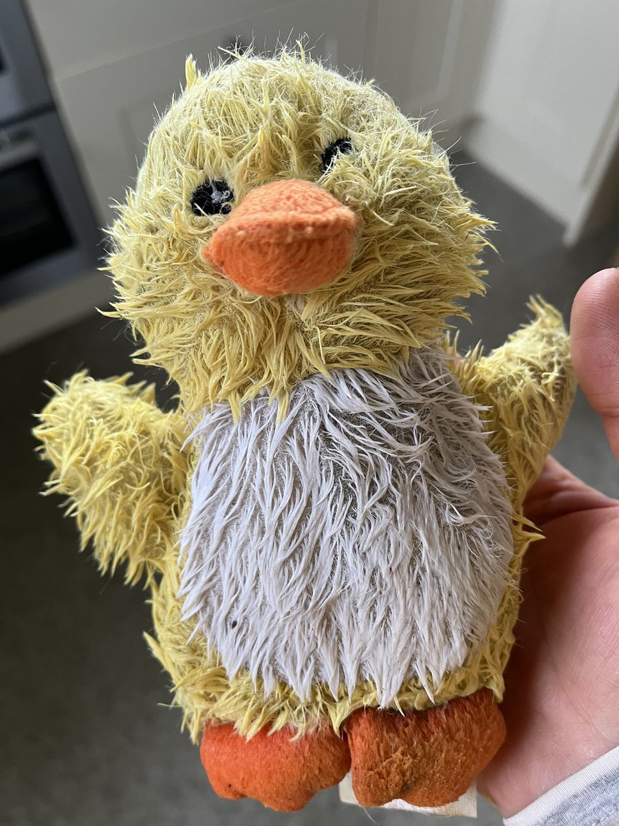 Can we help find the owner of this gorgeous wee thing found on a remote Dumfries &amp; Galloway beach this morning. Please share #lostatsea #losttoy #duckling