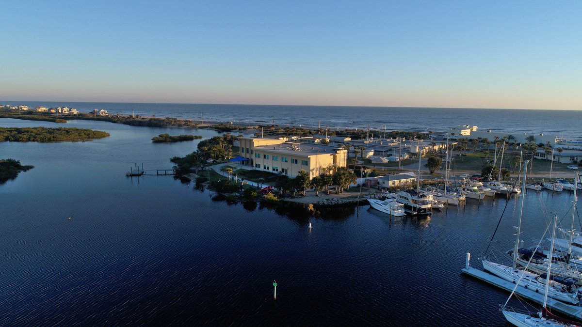 Whitney_Lab's tweet image. We are hiring 3 postdocs +1 animal care tech for ctenophore neurogenesis &amp;amp; neural circuit evolution project. Ryan, Strother, &amp;amp; Martindale Labs. #IndigenousInSTEM #BlackInSTEM #LatinxInSTEM #LGBTQSTEM #WomenInSTEM Application reviewing starts Dec 1, 2021 -&amp;gt; ryanlab.whitney.ufl.edu/hiring