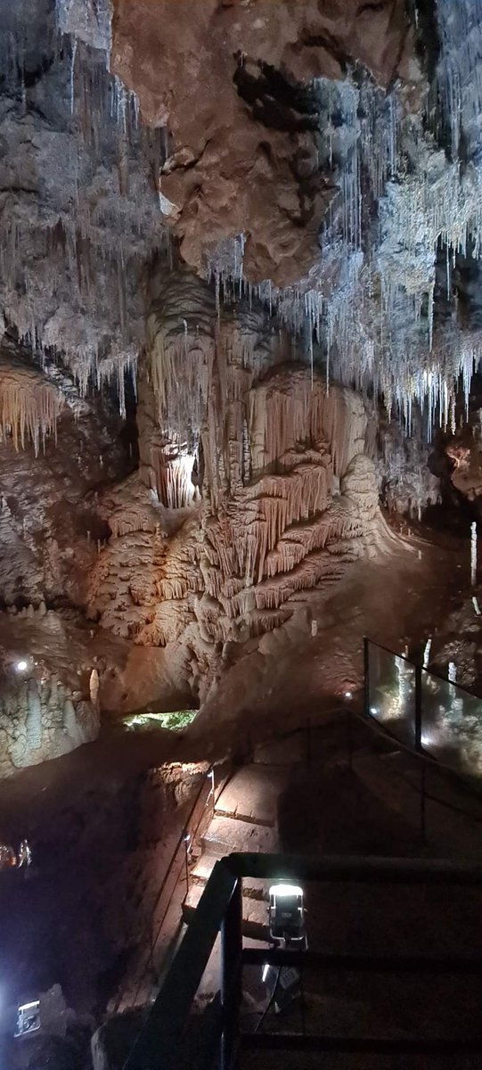 Clamouse tweet media