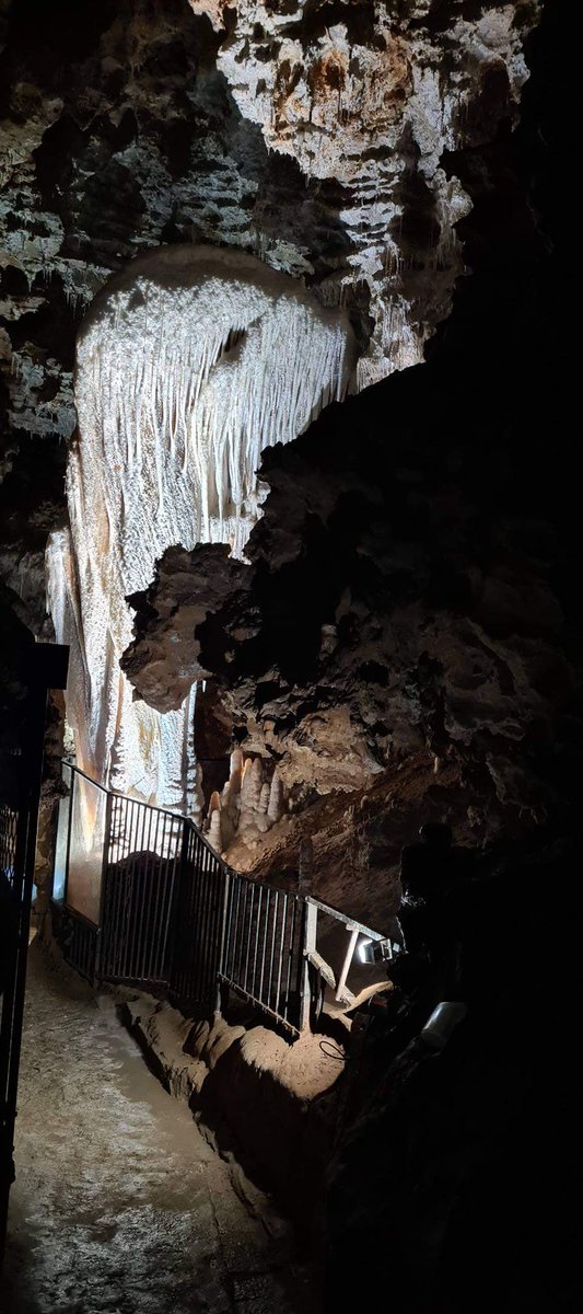 Clamouse tweet media