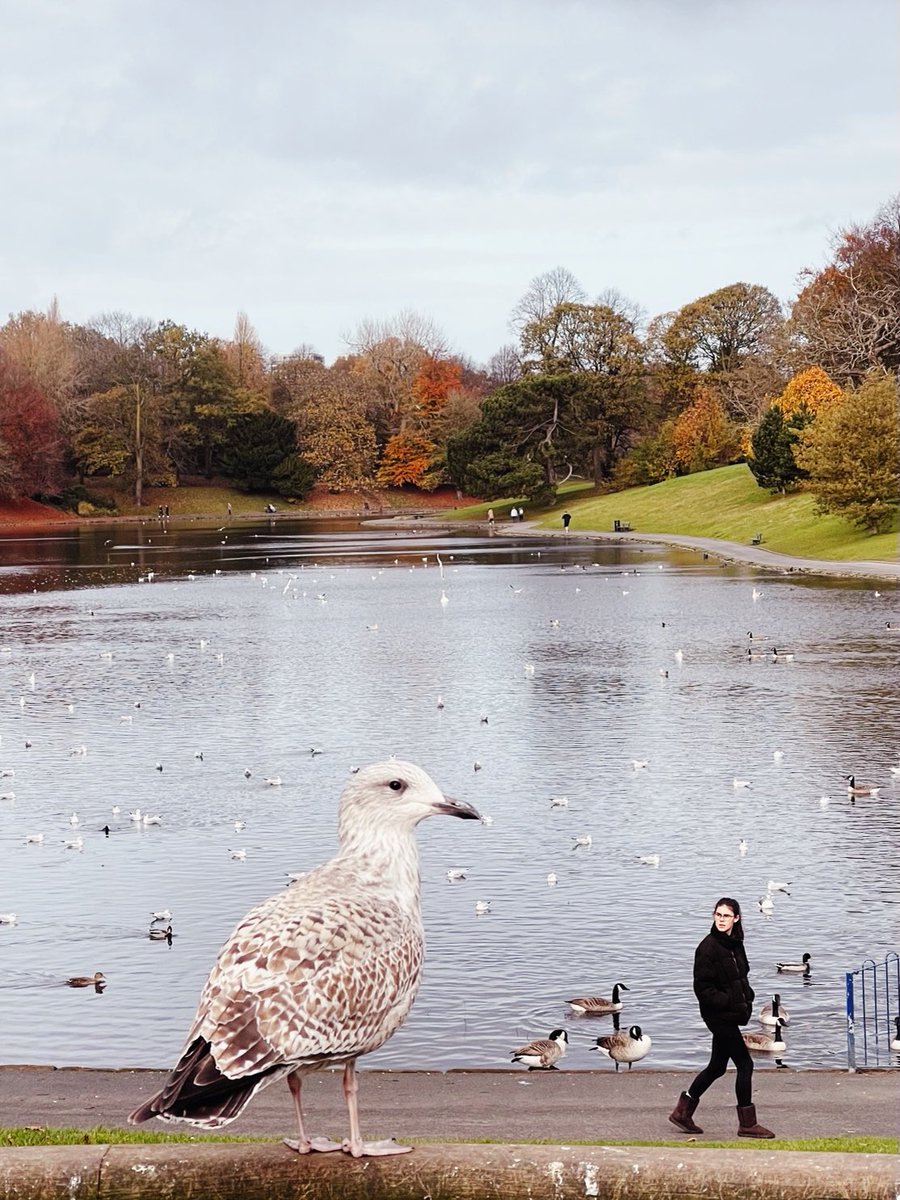 Nick Spence tweet media