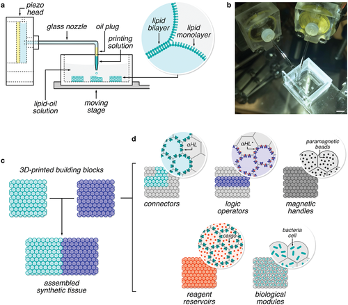ERC_Research's tweet photo. What is happening in the fascinating world of frontier research?🧐

#Cooling, #tissue, #microfluidic devices...

Recent research results and papers from ERC grantees➡️ https://t.co/ESyLFC8Brz

㊙️ If you want to see your result featured, do mention its ERC funded when you Tweet! https://t.co/zqLG0wZz42