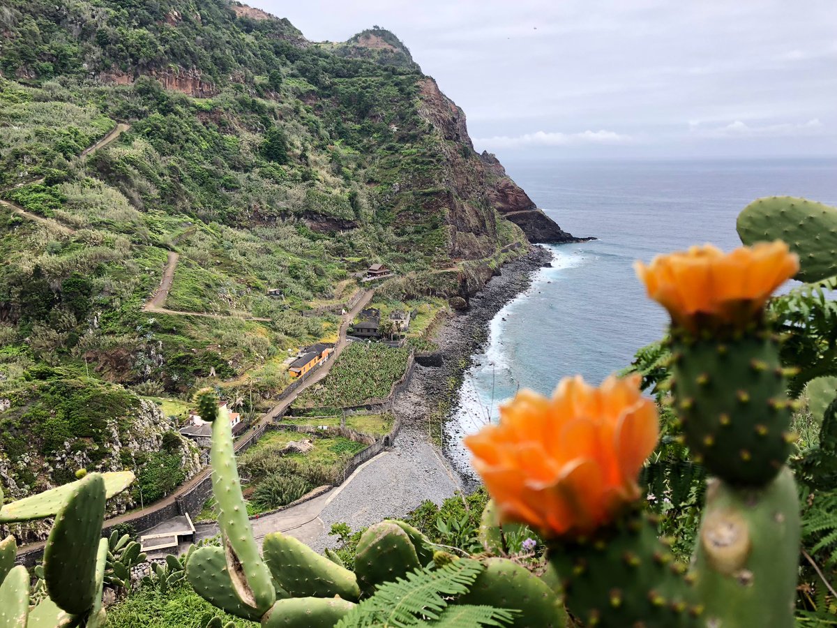 annafrosty's tweet image. MADEIRA 🇵🇹
5th - 11th June 2022
Join @AdventuresRun in this magical island of beauty, turquoise ocean, rugged mountains, colourful flowers and delicious cuisine and wine. Surf, canyon, run, relax and repeat! 

🇵🇹Register now! trailrunadventures.com/madeira

🏁@skyrunmadeira