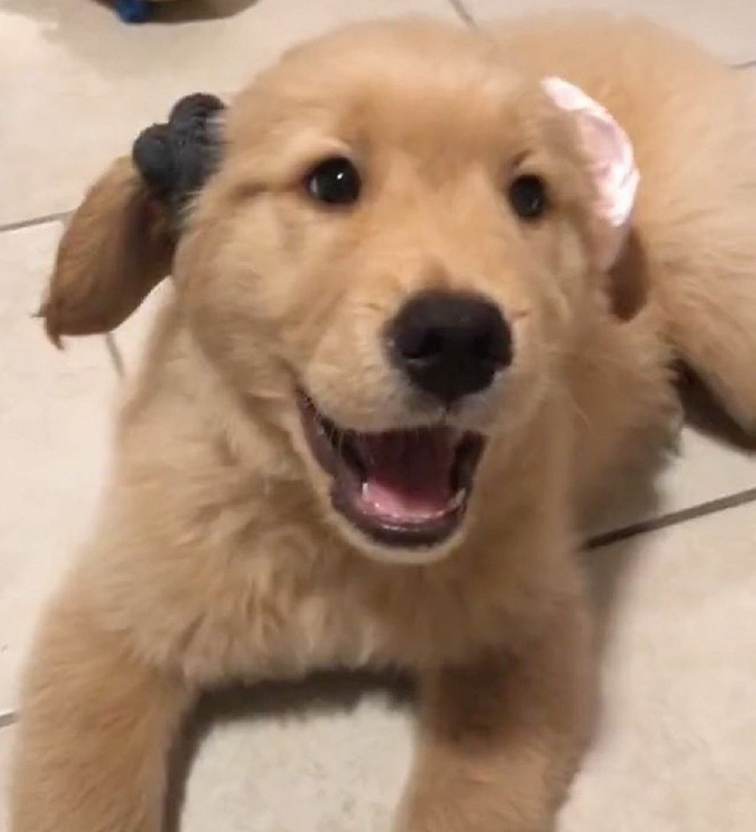 dogboyryding's tweet photo. https://t.co/V3lD1fua0P