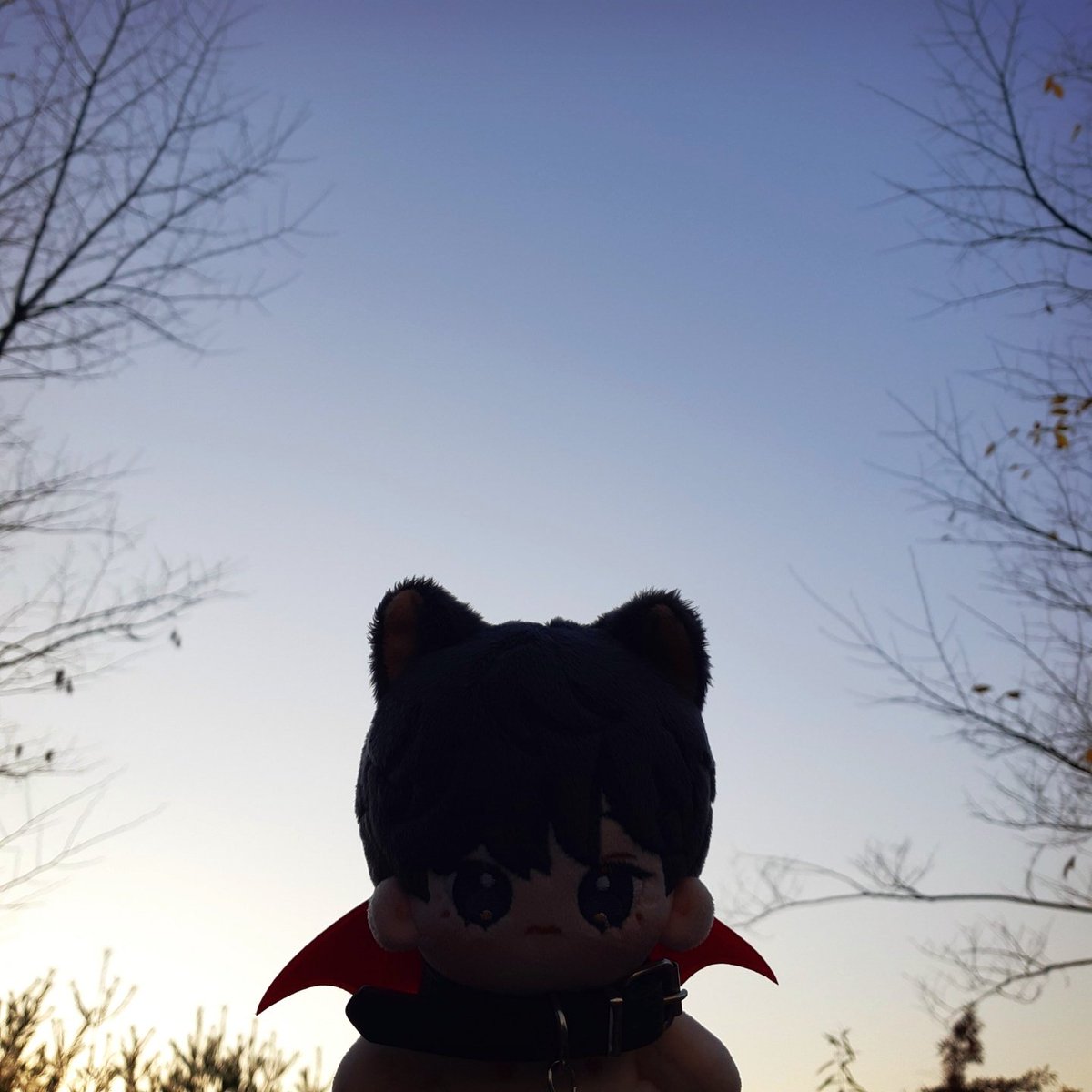 냥태는 악마 냐옹이😺❤

#가을 #감성 #깜냥태