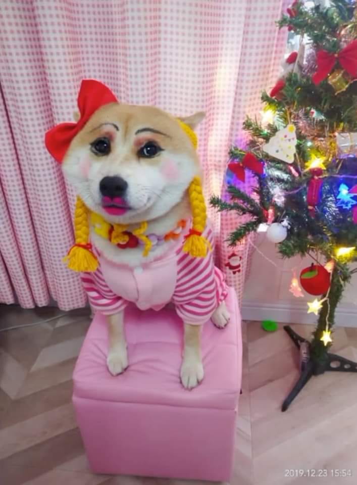vothihanias's tweet photo. sen đâu trang điểm cho trẫm còn đi sinh nhật nào https://t.co/4aGB4LdIkP