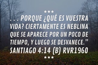 Omar Melendez tweet media