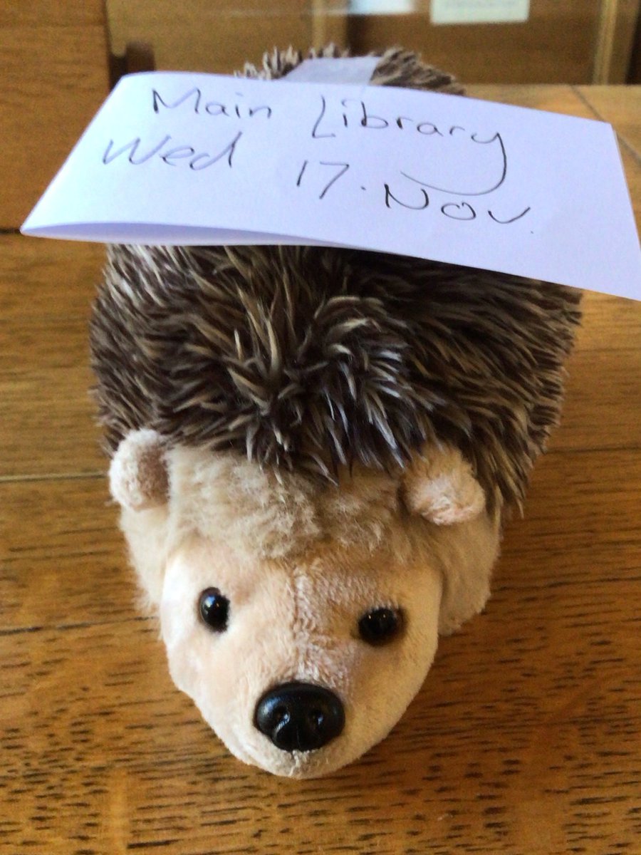 caiuslib's tweet photo. A lonely little fellow appeared to be #LostInTheLibrary this morning. If you recognise this hedgehog please let us know! https://t.co/Oju6Wsi7MU