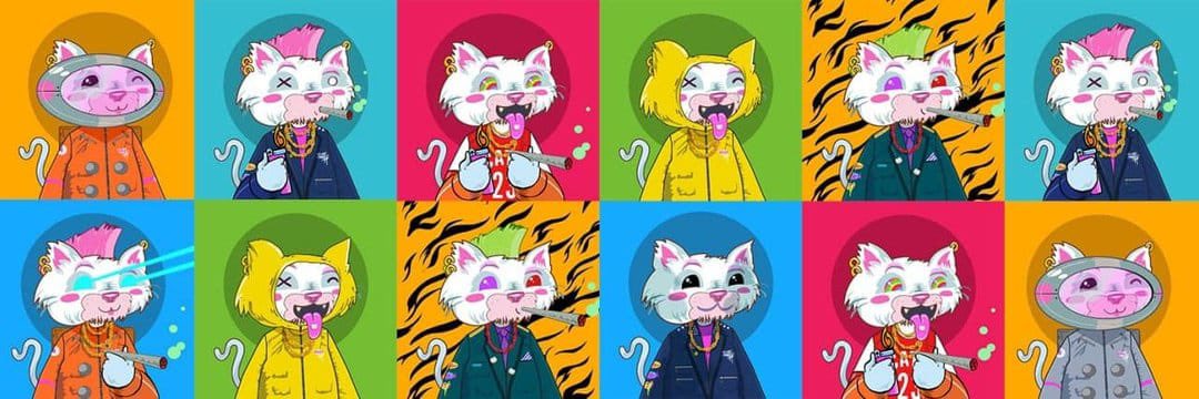 @DeezeFi Another day another #NFT i minted one of the <a href="/JunkieCatz/">Junkie Catz</a> #NFTs 💎💎💎, i think they have huge potential growth #100xgem , you can mint yours here 👇👇👇👇👇👇👇👇
Junkiecatz.com

#NFTshill #nftart #nftcollectors