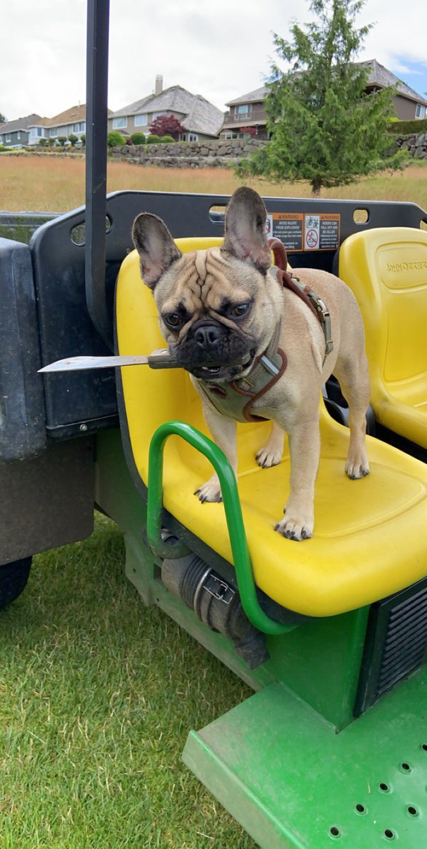 Manny Torres tweet media