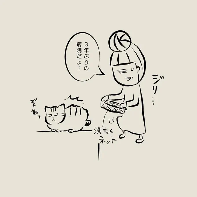 交通事故から3年後の健康診断!まさかの結果におかーさんビックリ!【連載】交通事故にあった猫を拾いました#43|ねこのきもちWEB MAGAZINE https://t.co/x9Jblq8Lvp 