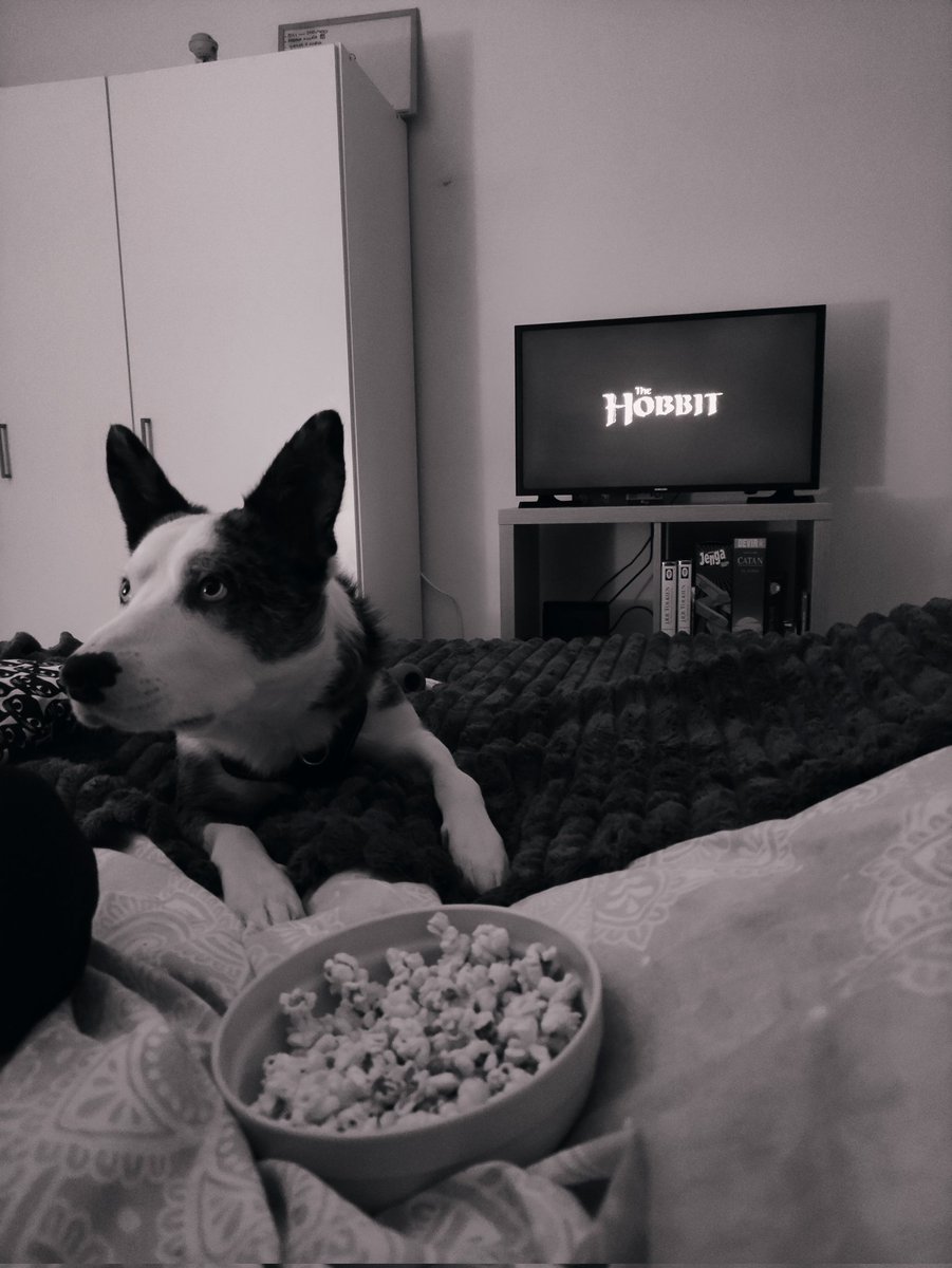 Los mejores planes son los de invierno 🍿📽️