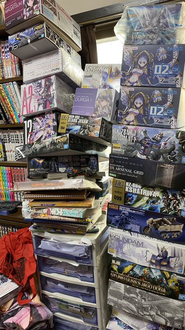 プラモと抱き枕多すぎんよ 