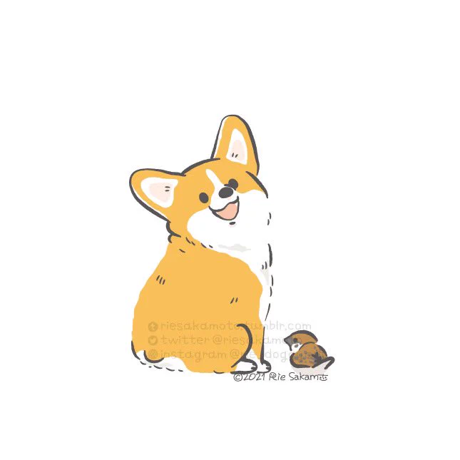 いい笑顔の日のコーギーたち
#いい笑顔の日 