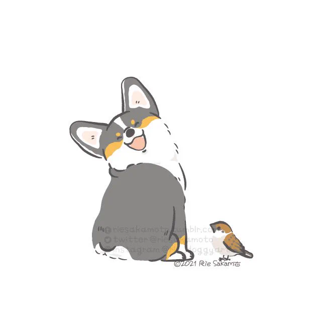 いい笑顔の日のコーギーたち
#いい笑顔の日 
