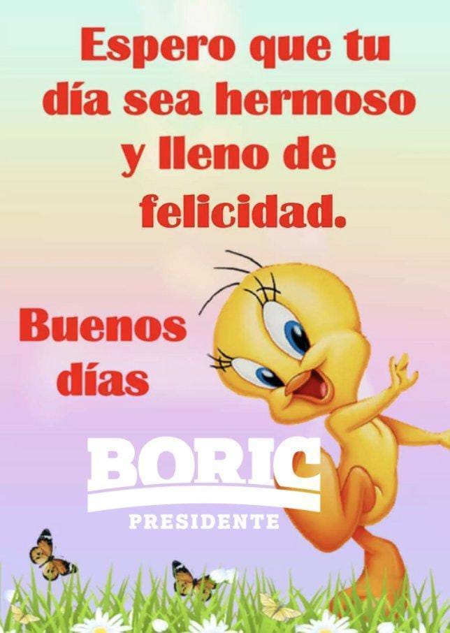 DiegoI_PL's tweet photo. #GabrielNuevoChile
#BoricPresidente
#GabrielNosUne
#TodosConBoric
#SomosMas
#GabrielSomos+ https://t.co/ZWCZWJezQk