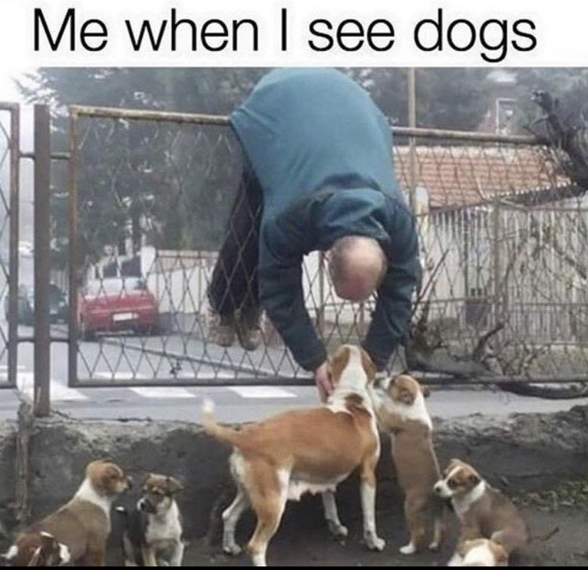 WholesomeMeme's tweet photo. https://t.co/rFTqf5hKWq