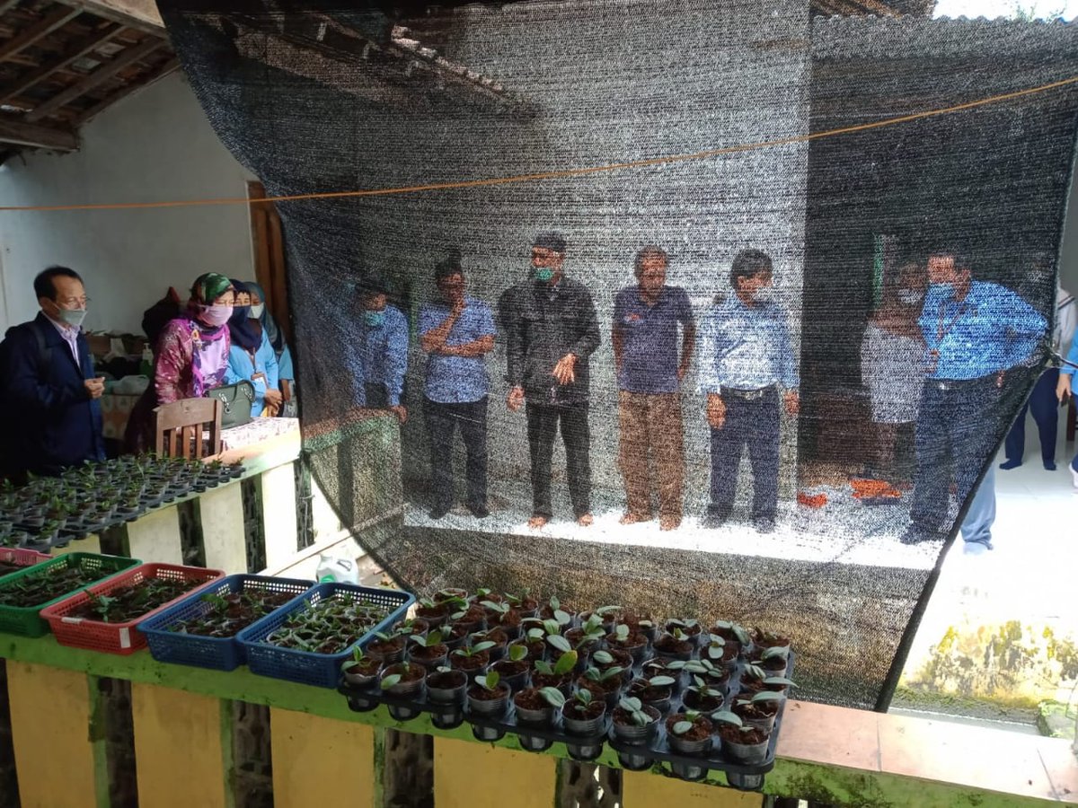 MbahKidjoFarm's tweet photo. Nyuwun Pangestu.. π
Bapak Ibu dari @bptpbdiy @kabarsleman @PertanianSleman @PemkotJogja beserta jajarannya meninjau lapangan, untuk memastikan dan menguji Gurami Naga Merapi sebagai spesies gurami asli Yogyakarta.
#Jogja
#Sleman
#Gurami
#NagaMerapi
#UPPI https://t.co/FAITXLDAGq