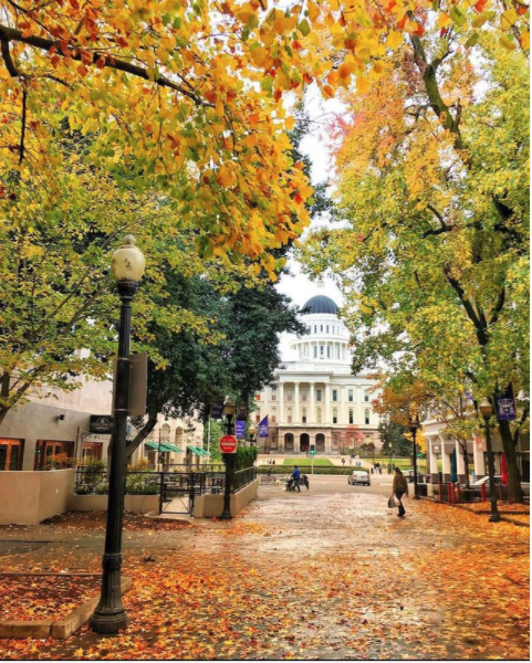 sacregion's tweet photo. Besides being named the Farm-to-Fork Capital of America, Sacramento is also known as the City of Trees. Needless to say, fall is a treat here. 🍂
#NextOutWest #RethinkRemote #GreaterSacramento #Sacramento #Tech #RemoteWork https://t.co/wHSyeZCu22
