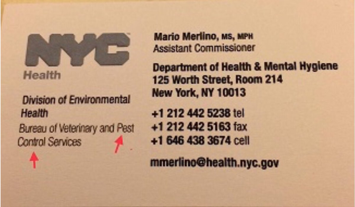 AnubisSekhmet's tweet photo. @LovinIt100 @NYCACC @jimmyfallon @TheView @NYCCouncil @NYSenate @NYSenDems @DonnaLupardo @SenatorBiaggi @nycpa @MarkLevineNYC @OswaldFeliz @NYCHealthCommr How about: why is the @NYCACC killing animals while New Yorkers are busy with the holidays- traveling, holiday prep. etc. Many times in the past the ACC was asked NOT to kill on a holiday weekend but most recently they’ve been pushing the boundaries of cruelty. Ask them to stop. https://t.co/amNsGba1QT