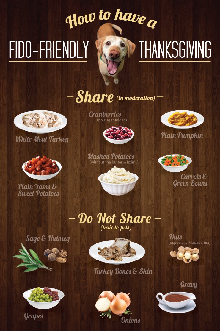 CockapooCoin's tweet photo. If you and your furry friends will be celebrating #Thanksgiving tomorrow. Remember not everything is safe for pups to eat, and stay tuned for some big news! 👀 https://t.co/qdd7HLB4Ye