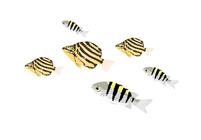 この絵柄で各種チョウチョウウオの幼魚とか描いたら可愛いかな 