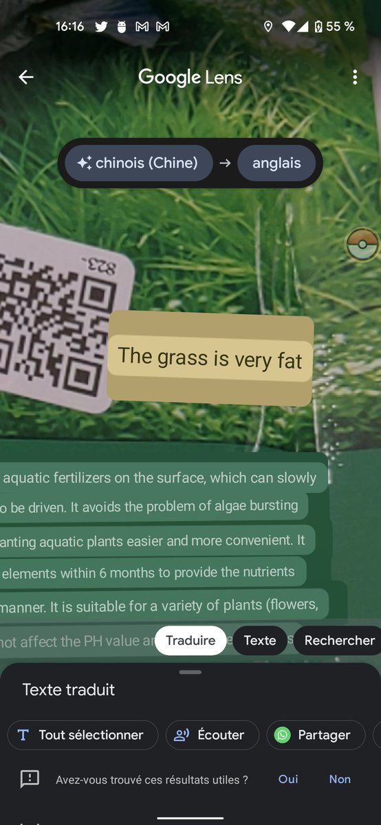 katiterish's tweet photo. Yes make my grass very fat please 🙌🙌🙌 https://t.co/RdD8Z7wEUK