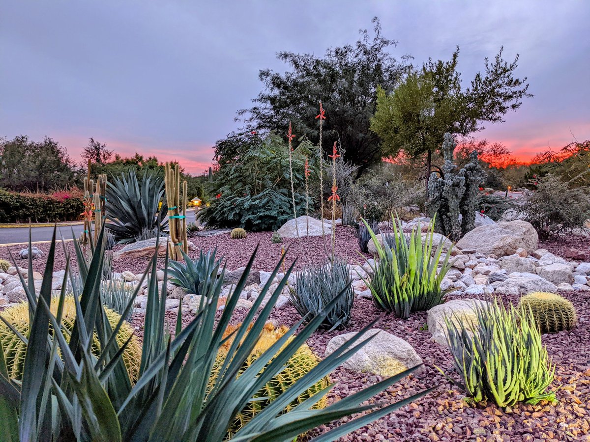 drhenz_wx's tweet photo. Another gorgeous #azwx sunset! Love that sherbet pink 🤤 #Tucson #VentanaCanyon https://t.co/ks57D5MuZM