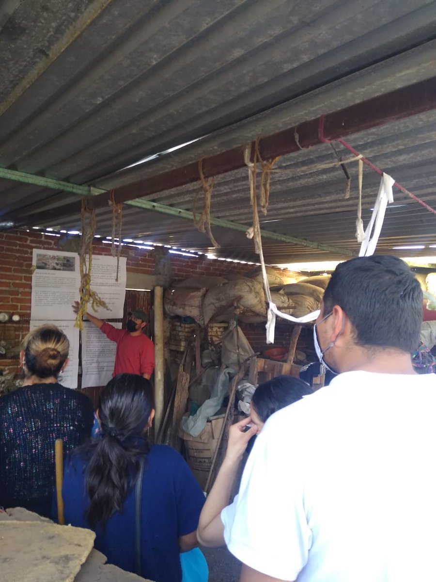 emilaux_'s tweet photo. En busca de implementar un control natural en plagas y enfermedades, en el municipio de San Martin Texmelucan Pue. El 21 de noviembre se elaboró el Caldo de ceniza como una acción preventiva de amplio espectro y gran persistencia como insecticida y fungicida #CultivosparaMexico https://t.co/THR6MogmiQ