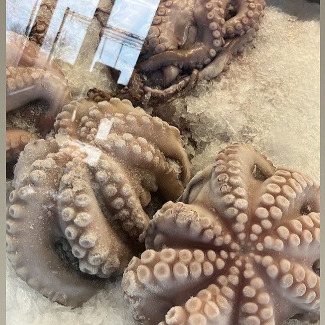 BostonFish's tweet image. We will be closed for Thanksgiving, so if you need fish for the holiday, make sure to stop by today! 

#bostonfishmarket #thanksgiving