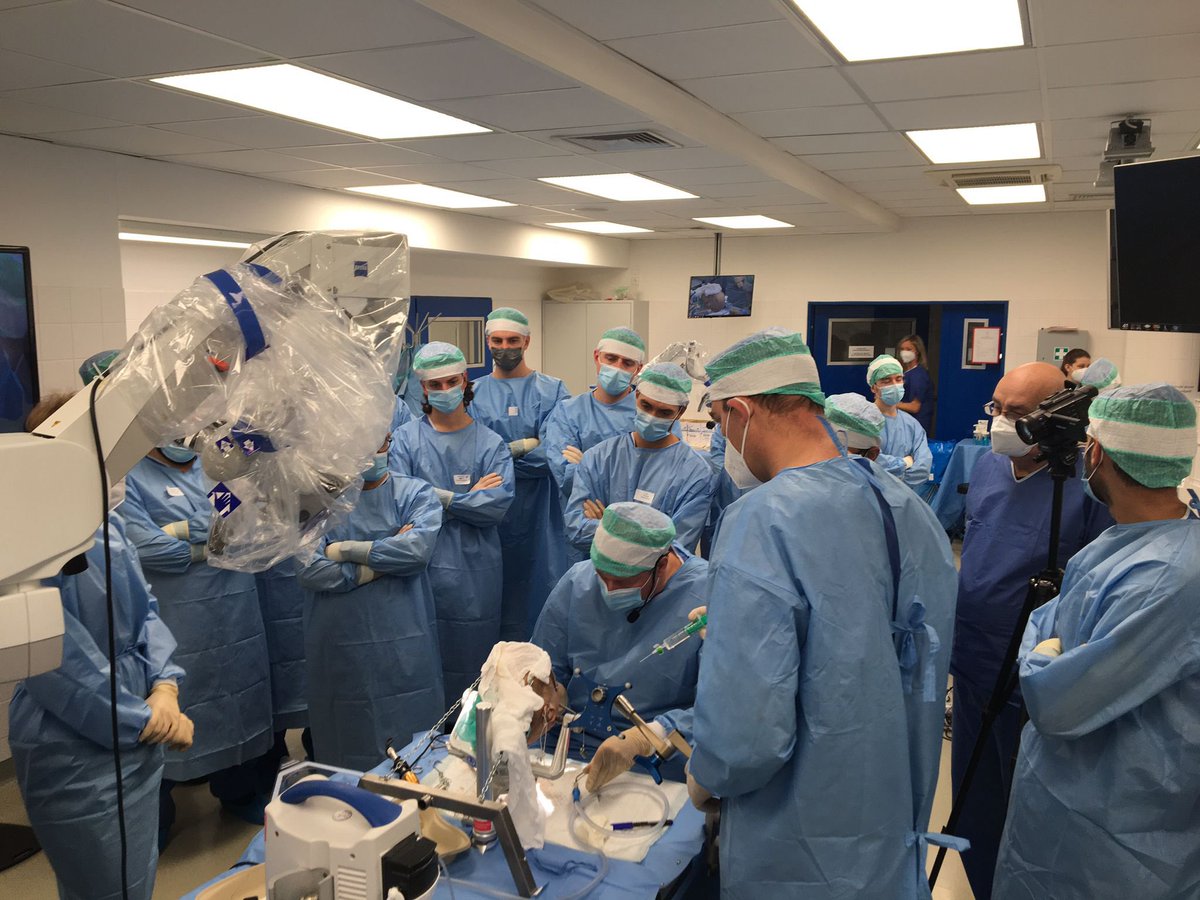 EANSonline50's tweet photo. What an exciting 1st day of the EANS CRANIAL STEP I HANDS-ON COURSE!

Participants receive #hand_on #learning in the essential neurosurgical anatomy, the planning of surgical procedures, the handling of basic neurosurgical equipment, basic #neurosurgical #cranial approaches! https://t.co/0Z6oAeWm9F