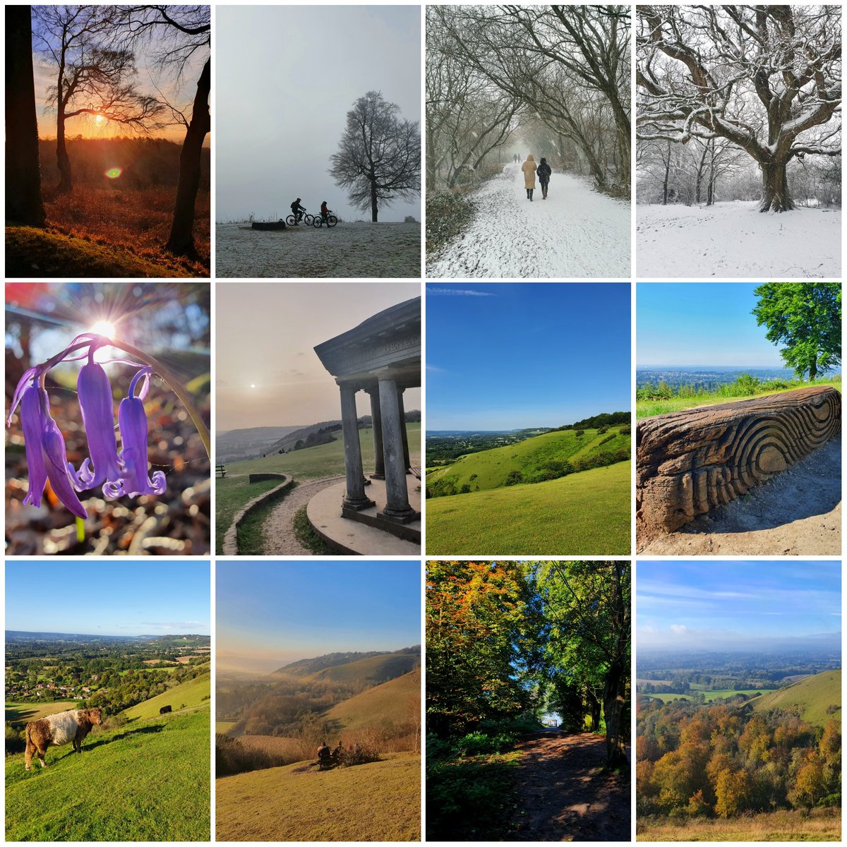 Matthew Williams tweet media