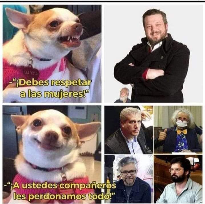 Daniel Contreras Quiroz tweet media