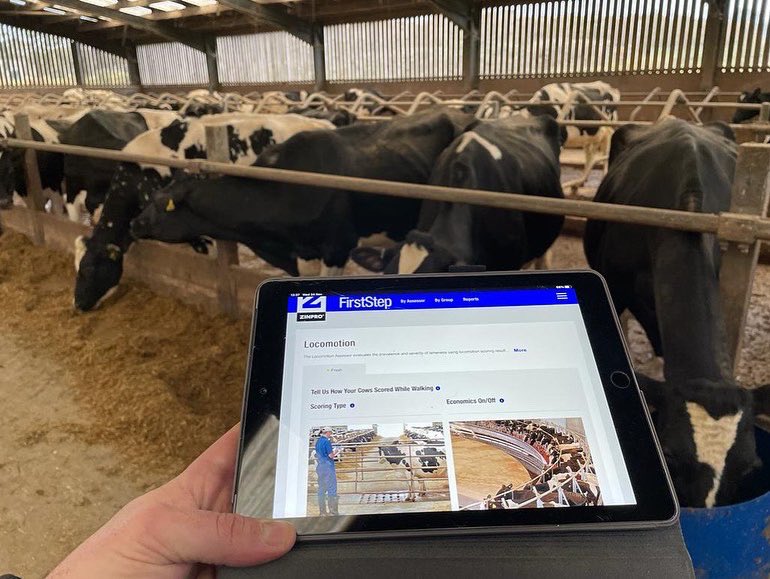 TbagriLtd's tweet photo. Today the team from TBA attended Zinproโs FirstStep lameness assessment training. #ruminanthealth #dairyfarming #lameness https://t.co/r6wEFgVybb
