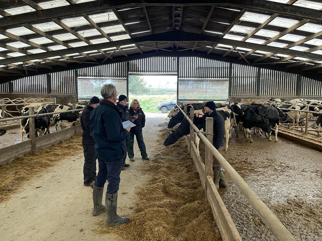 TbagriLtd's tweet photo. Today the team from TBA attended Zinproโs FirstStep lameness assessment training. #ruminanthealth #dairyfarming #lameness https://t.co/r6wEFgVybb