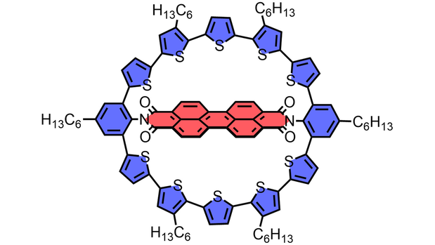 Macrocyclic Donor-Acceptor Dyads Composed of a Perylene Bisimide Dye Surrounded by Oligothiophene Bridges (Wuerthner) #openaccess thanks to #projektDEAL onlinelibrary.wiley.com/doi/10.1002/an…
